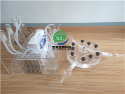 Y形昆虫嗅觉仪XLM3-30-300\XLM3-30-150